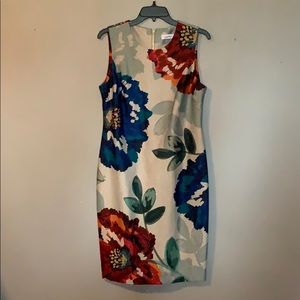 Calvin Klein dress. Never worn. Size 10.